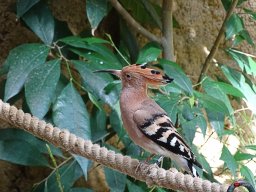 Tiergarten Schönbrunn am 23.03.2023